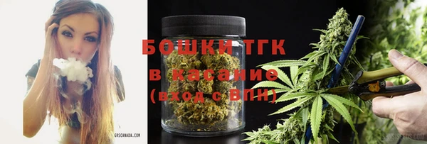 PSILOCYBIN Волосово