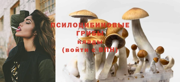 ECSTASY Волоколамск