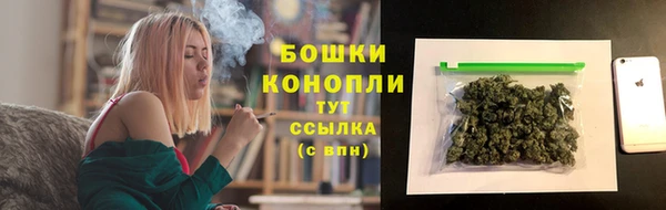 гидра Володарск