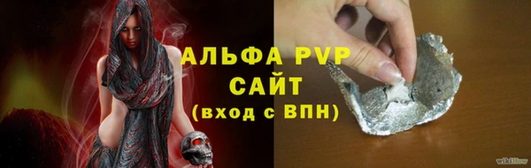 гидра Володарск