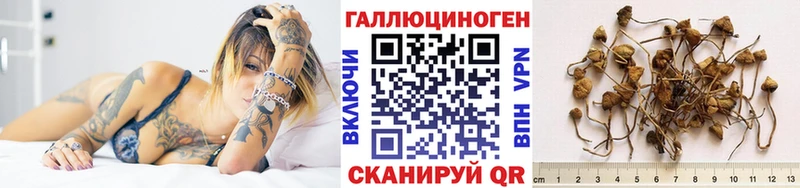 купить   Калтан  Галлюциногенные грибы Magic Shrooms 